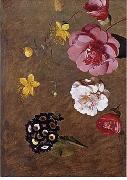 unknow artist Floral, beautiful classical still life of flowers.032 Germany oil painting artist